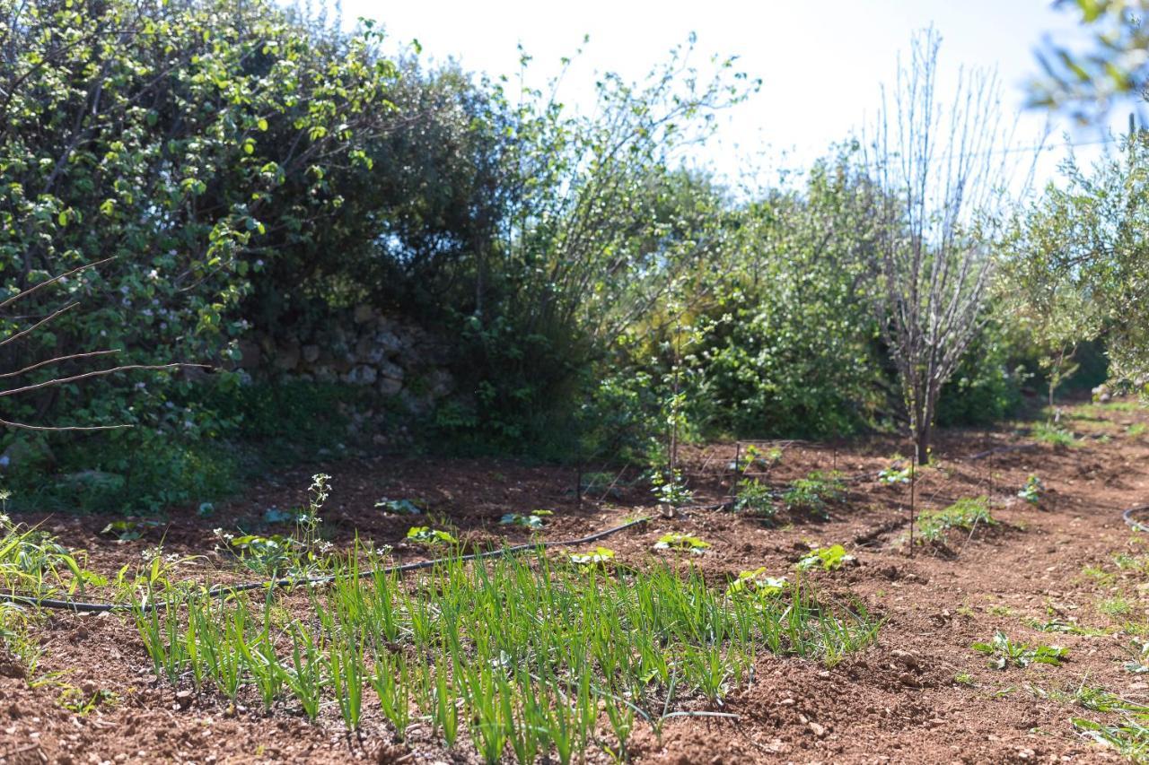 Villa Eden'S Garden Skouloúfia Extérieur photo